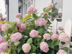 -琥珀川咖啡馆·Amber cafe(百祥路店)