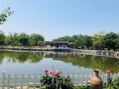-鹅湖玫瑰文化园