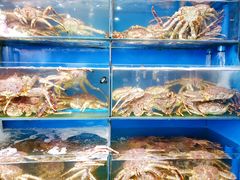 水产区-蚝专家(北滘店)