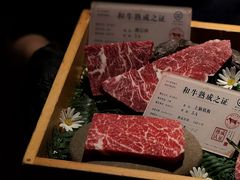 -火浪壹 by tigergrill(33小镇店)