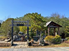 -上海共青森林公园