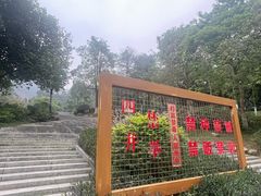 -火炉山森林公园