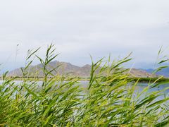 -可可托海景区