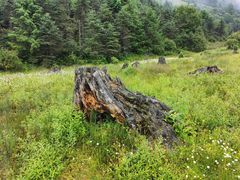 -硗碛藏寨·神木垒景区