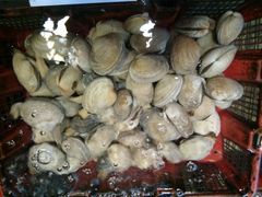 -东江港海鲜城(广雅花园别墅区店)