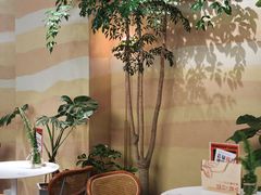 -迦南的早晨蛋糕甜品集合店