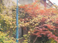 -Bamboo Today Cafe(国创园店)