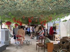 -马陆小张葡萄园农家乐