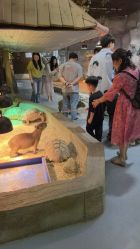 -Zoolung Zoolung动物主题公园(海信广场店)