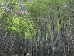 -敬亭山风景名胜区