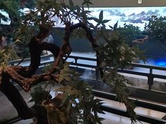 -潮上潮(南中环店)