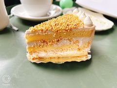 -竹子咖啡bamboo coffee