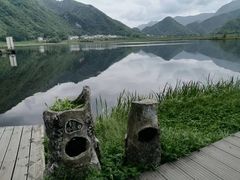 -大九湖