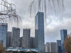 -天鹅湖体育公园
