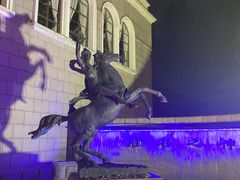 -上海安亭别墅花园酒店