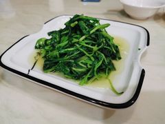 清炒鸡毛菜-19号私房菜(云南路店)