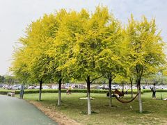-洨河生态公园