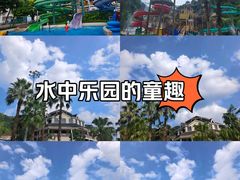 -重庆海昌加勒比海水世界