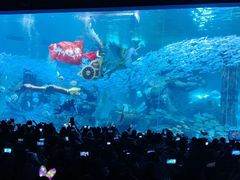 -哈尔滨波塞冬海底世界