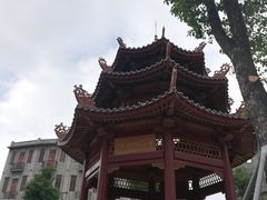 -老妈宫粽球
