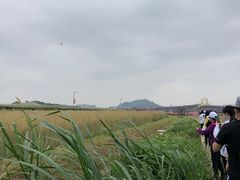-光明小镇欢乐田园