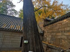 -青岛崂山太清宫