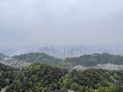 -大金鹰园