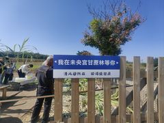 -汉长安城未央宫国家考古遗址公园