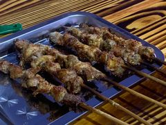 -民族烤羊·烤羊肉串·烤羊排(南城店)
