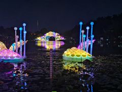 -映月湖公园