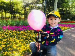 -朝阳公园游乐园