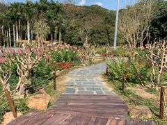 -深圳仙湖植物园