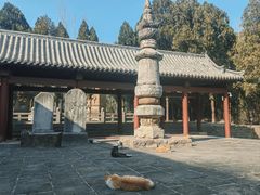-四门塔风景区