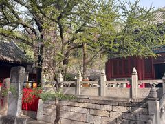 -红螺寺