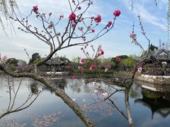 -无锡蠡湖国家湿地公园-蠡园