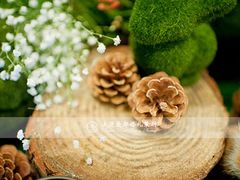 -上海虹桥迎宾馆