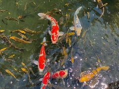 -新荣记(西溪湿地店)