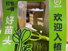 -海底捞火锅(万达坊店)