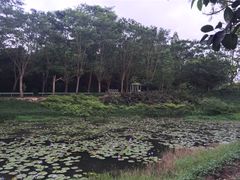 -北京师范大学(珠海校区)