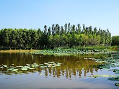 -东郊湿地公园
