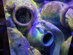 -太平洋海底世界