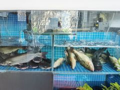 -同釜聚炝锅鱼火锅