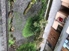 -乐领拈花溪·林涧食韵