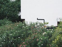 -夫子庙秦淮河画舫