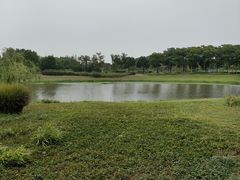 -贡湖湾湿地公园