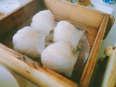 -黄埔华苑酒家(黄埔店)