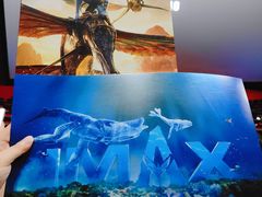 -悦江新远影城IMAX