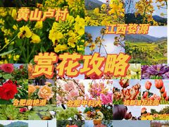 -东湖生态旅游风景区