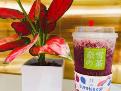 -奈雪的茶(新天地广场PRO店)