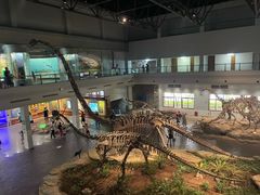 -自贡恐龙博物馆